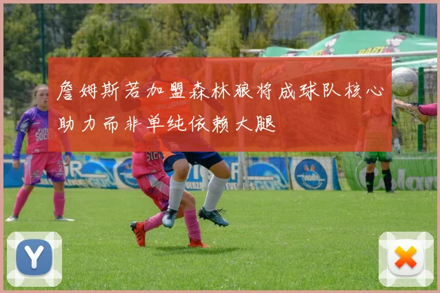 詹姆斯若加盟森林狼将成球队核心助力而非单纯依赖大腿